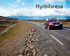 Island 15 dage rundt