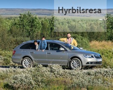 flyg,bil og fritidshus på Island