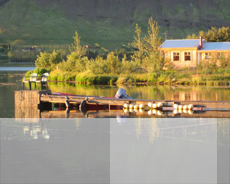 sommerhus på Island